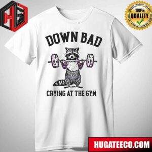 Taylor Swift Down Bad Crying At The Gym Rocket Racoon Meme T-Shirt